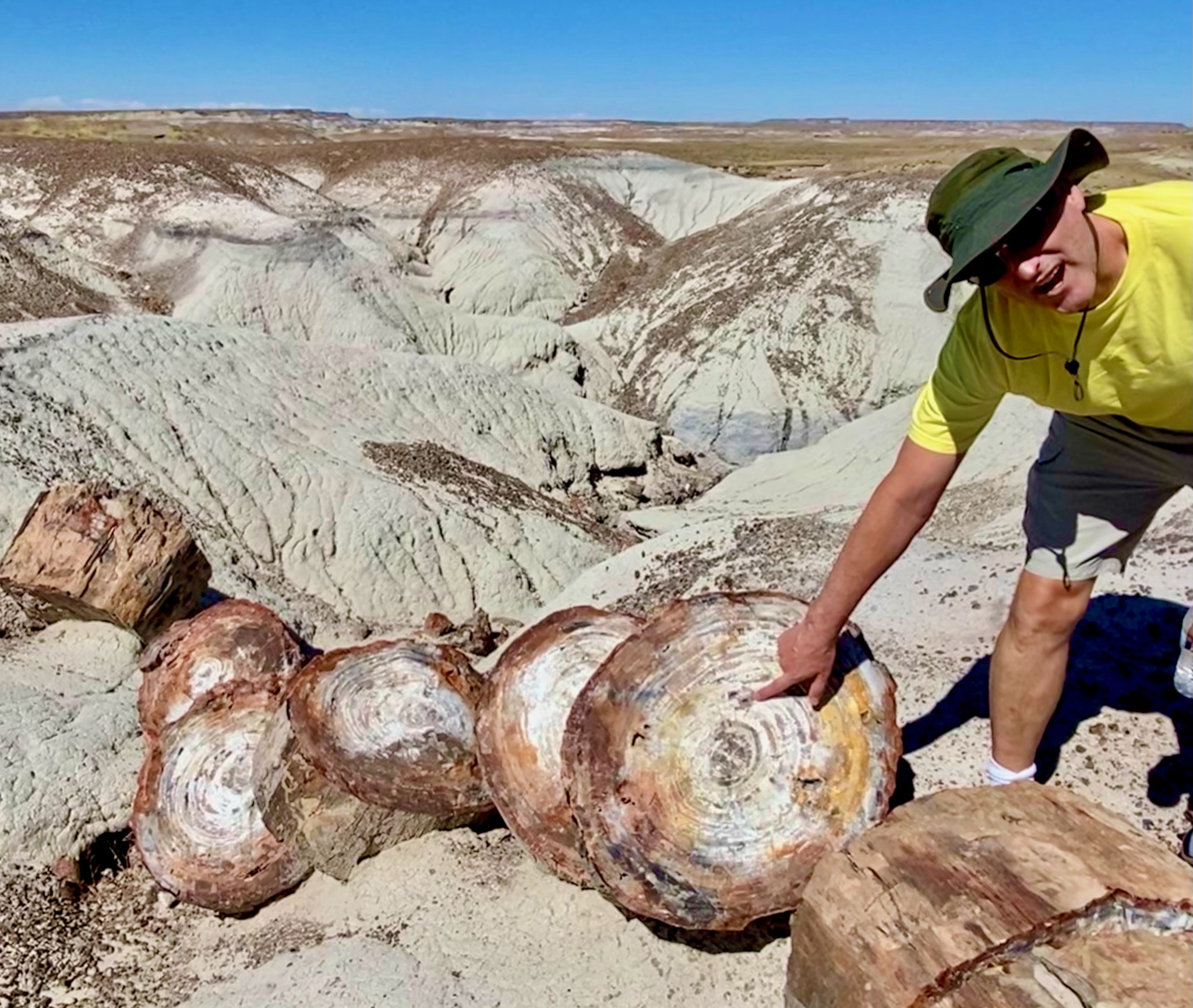 Something very interesting in the crystalized wood/