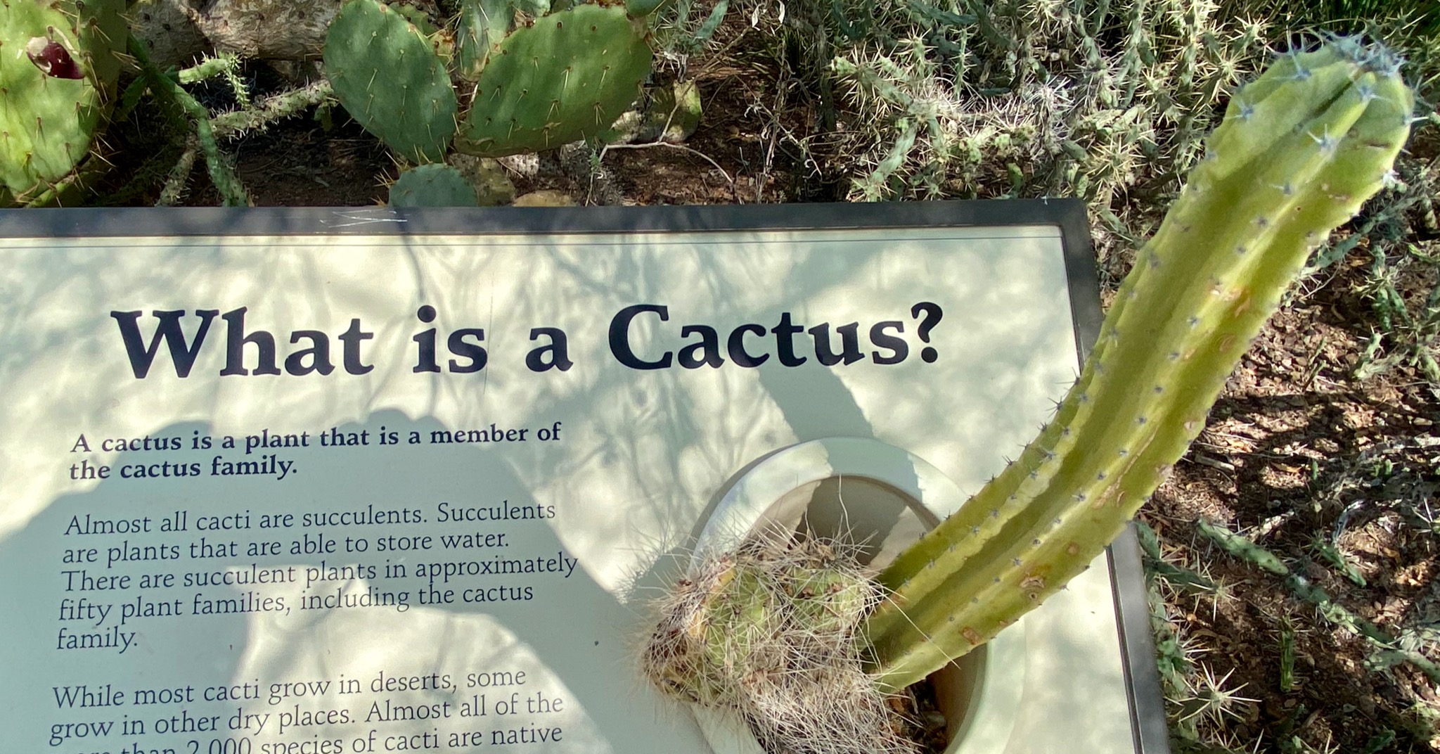 Deep thought of the day/