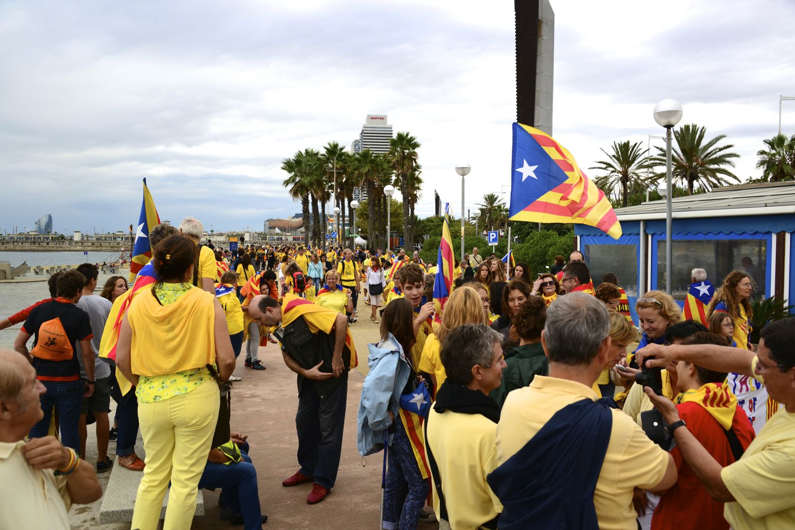 The Separationists (thinking they are gonna secede)/