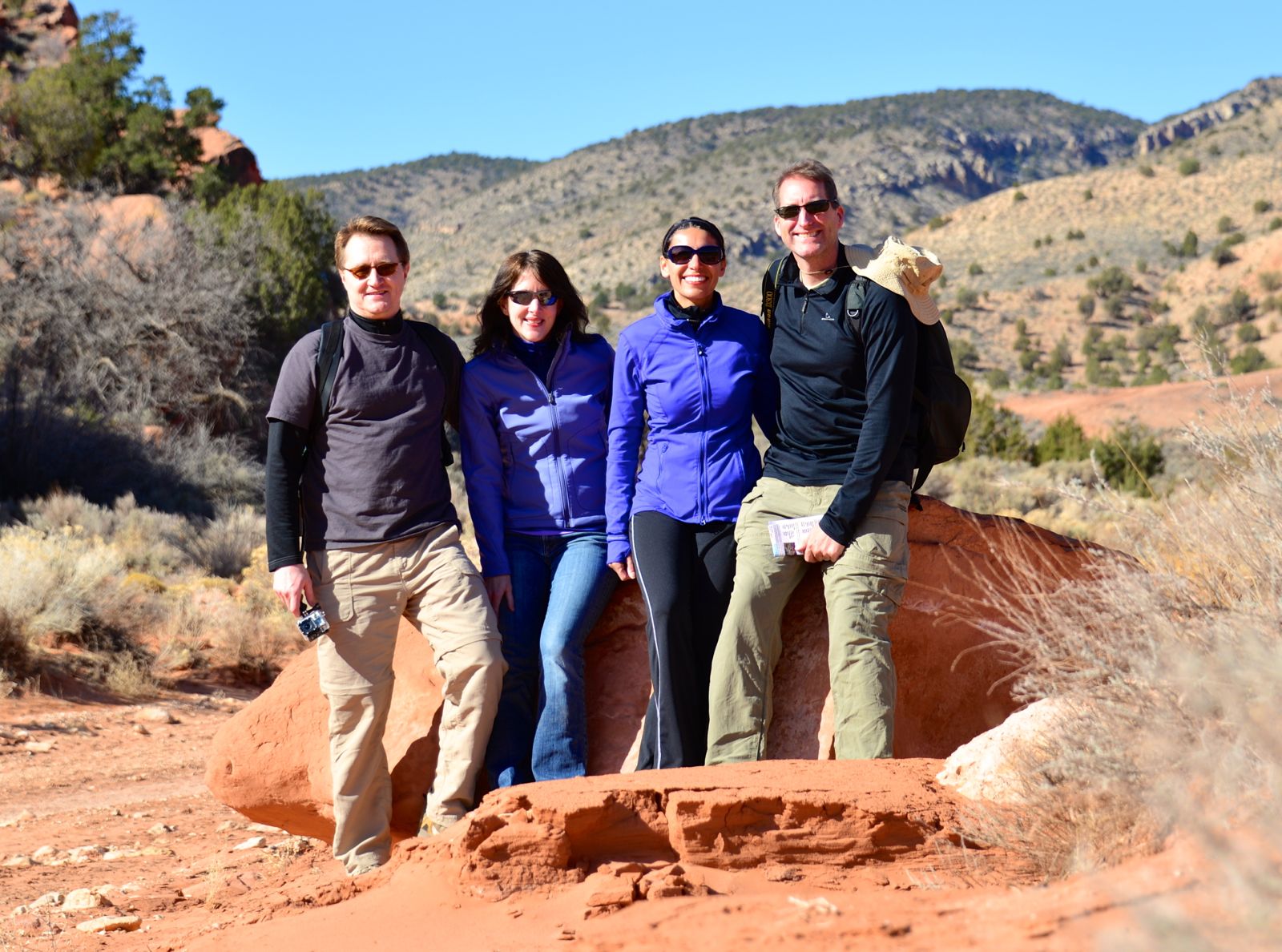 Bright eyed and bushy tail/