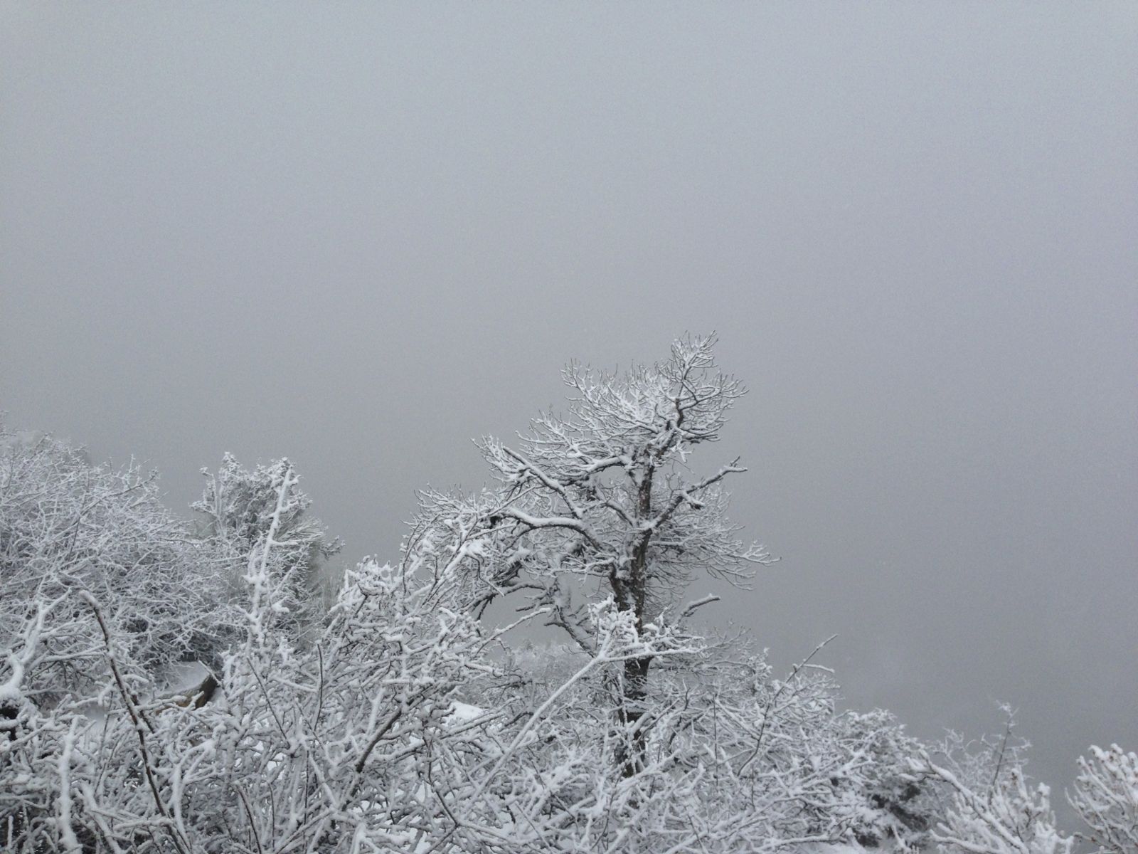 What happened to the Canyon?/