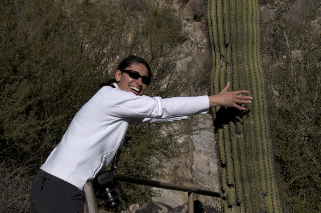 Really? You really want to hug the Saguaro?/