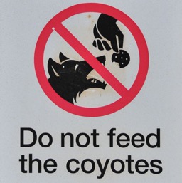 No cookies to the coyotes/
		    