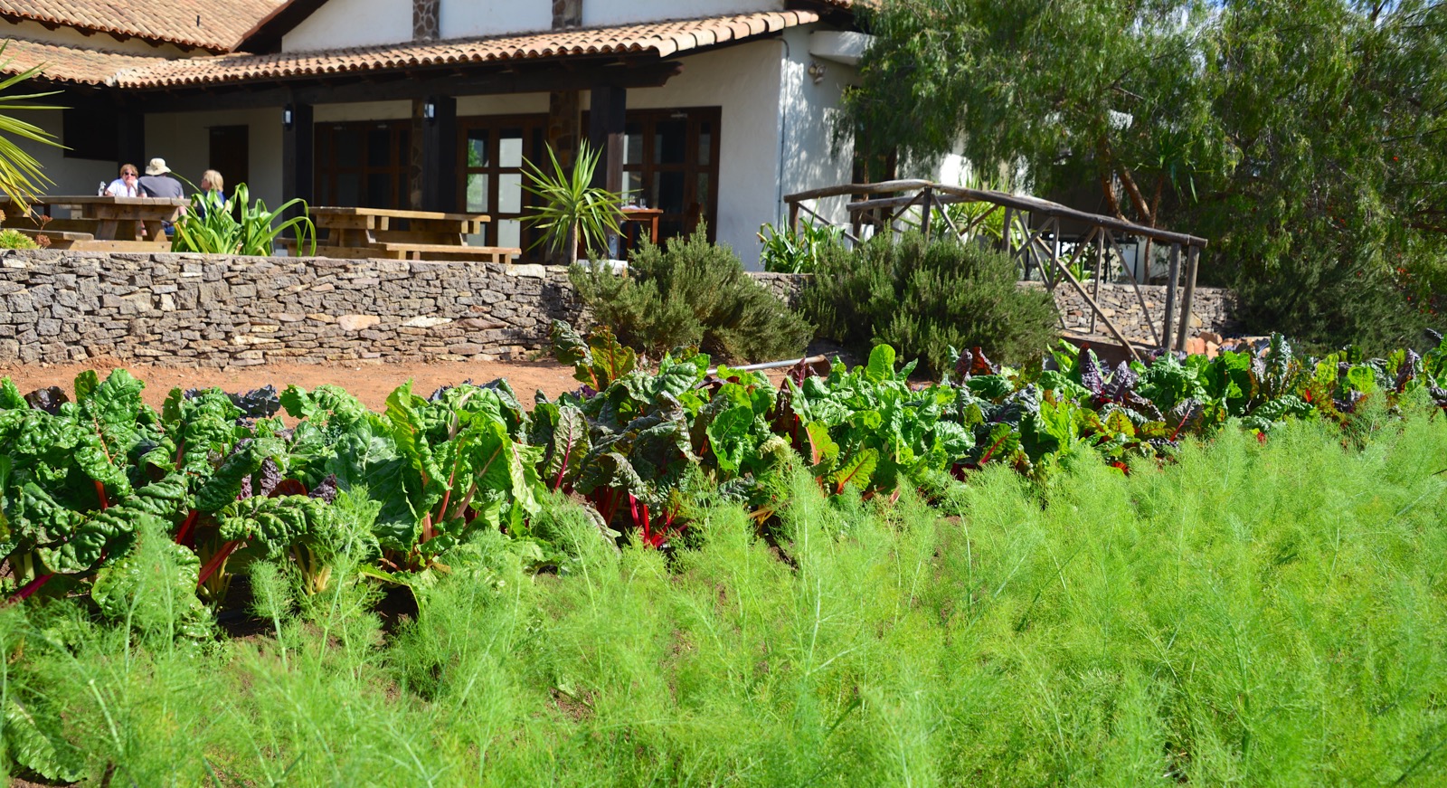 Where they grow all of their own veggies/