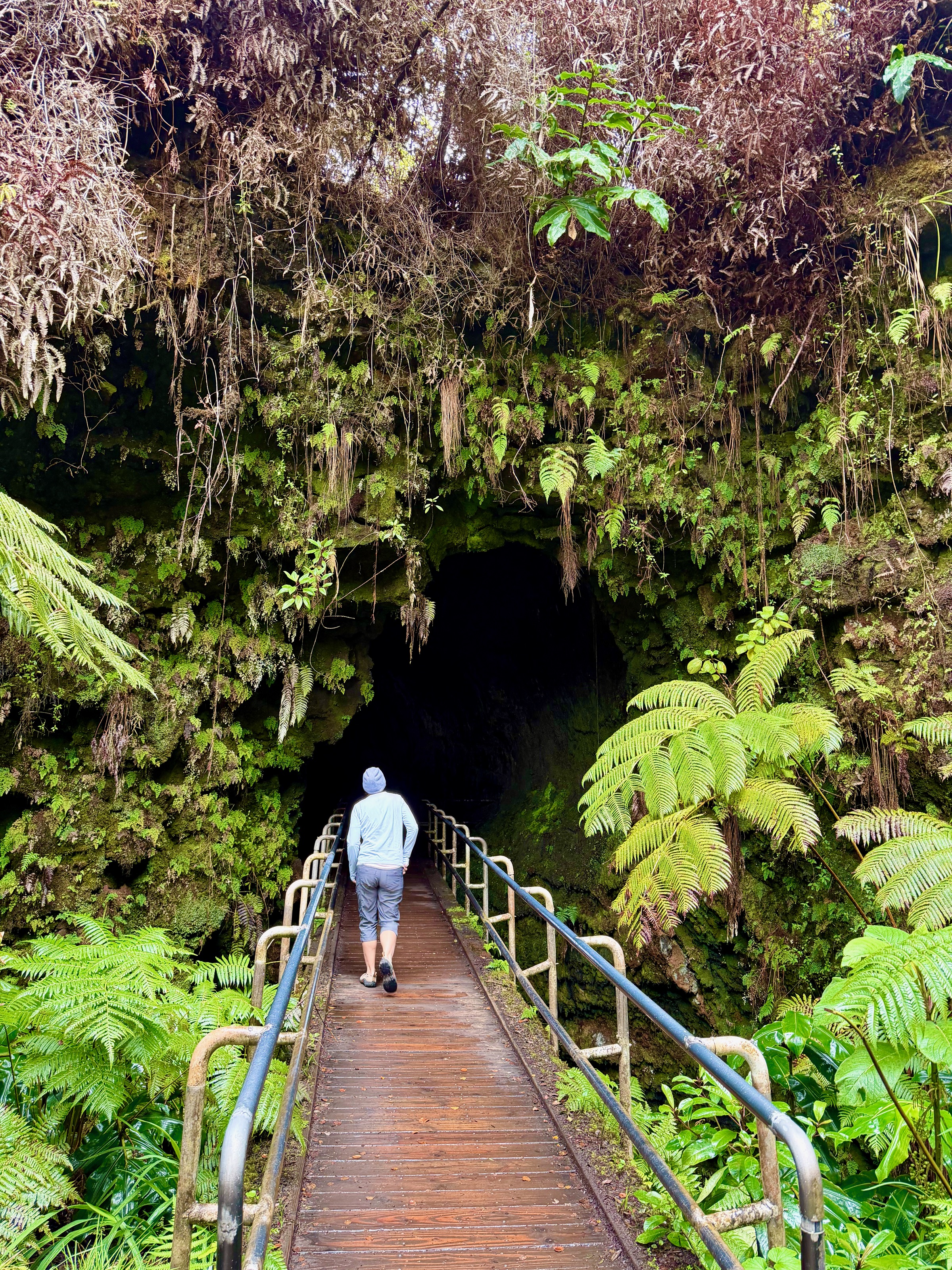 Nāhuku Trail into the lava tube/