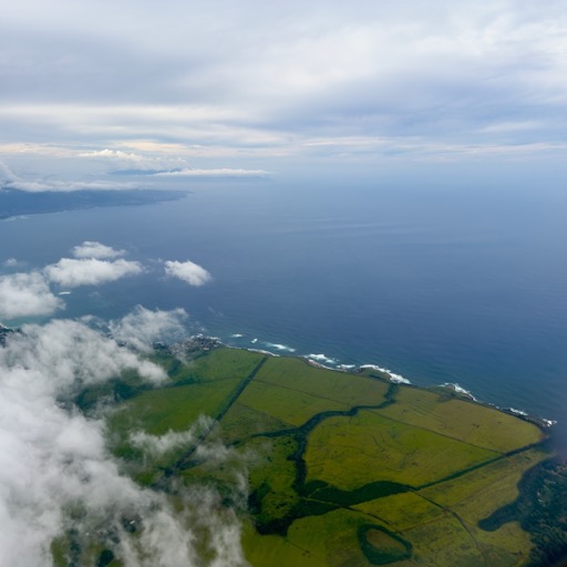 Hello Maui/
		    310 Hekuawa St, Haiku, HI 96708, USA