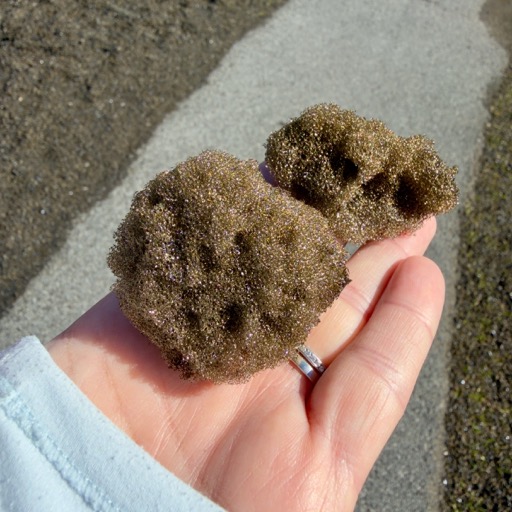 Weirdo spongy looking laval/
		    