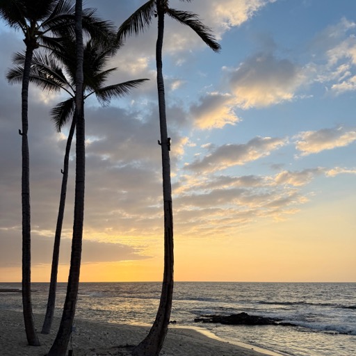 Ahhhh... finally the Four Seasons!/
		    72-100 Kaupulehu Dr, Kailua-Kona, HI 96740, USA