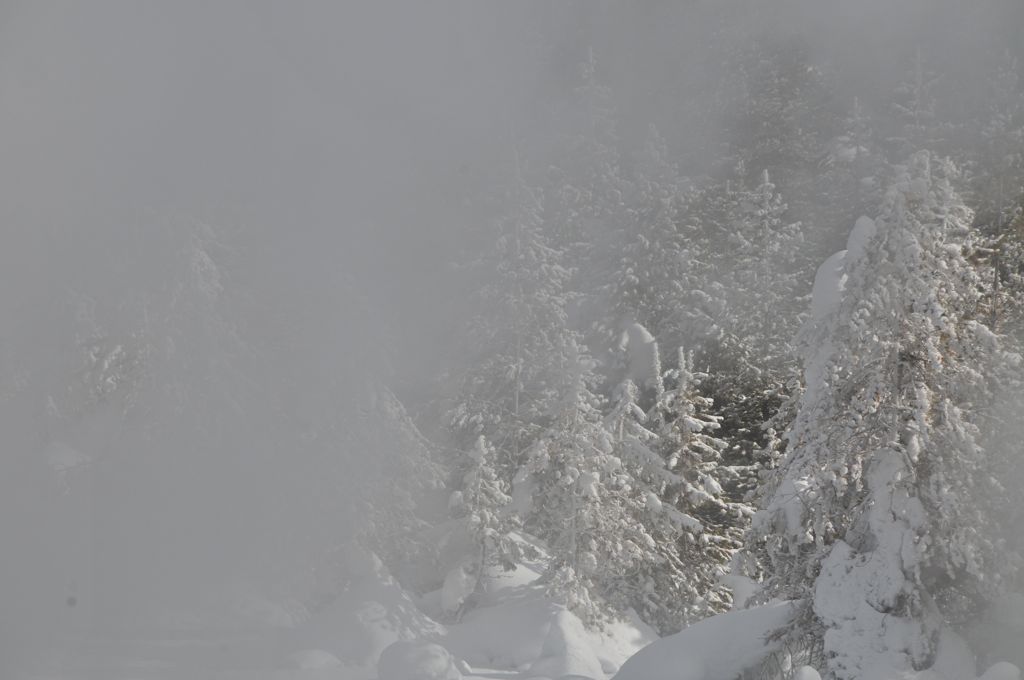 Everything is covered with frost/