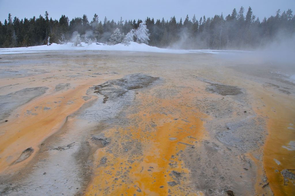 A river of bacteria /