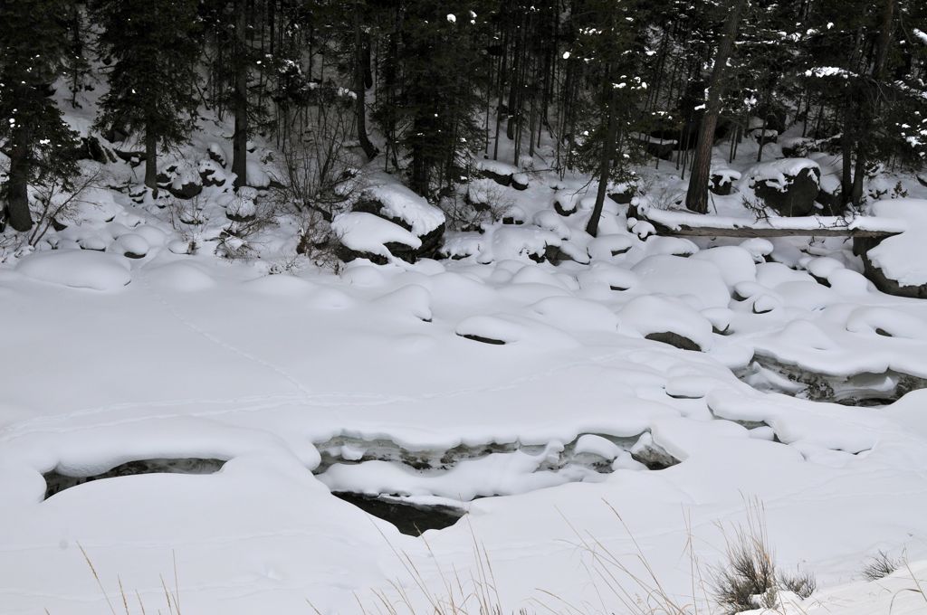 All that was left of the river/