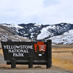 Hello Yellowstone!/
		    