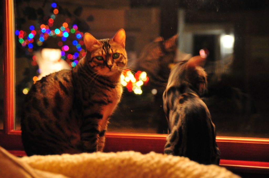 Watching the world go by/