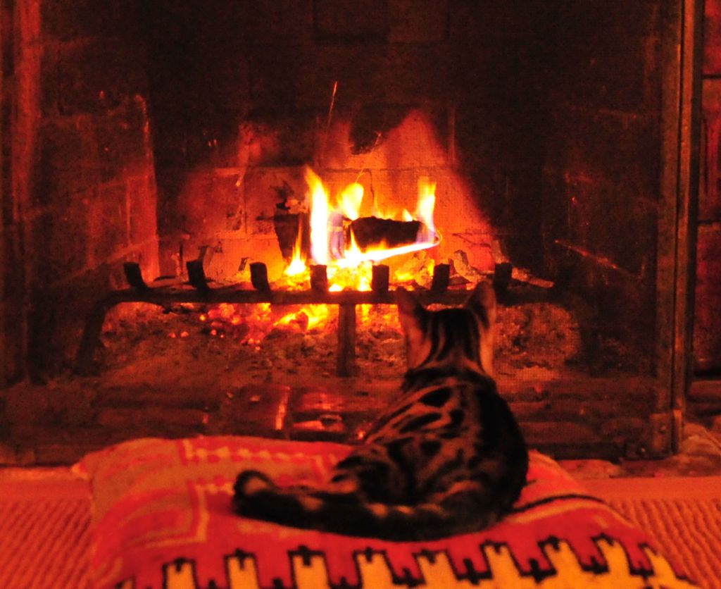 Still fascinated by the fire.../