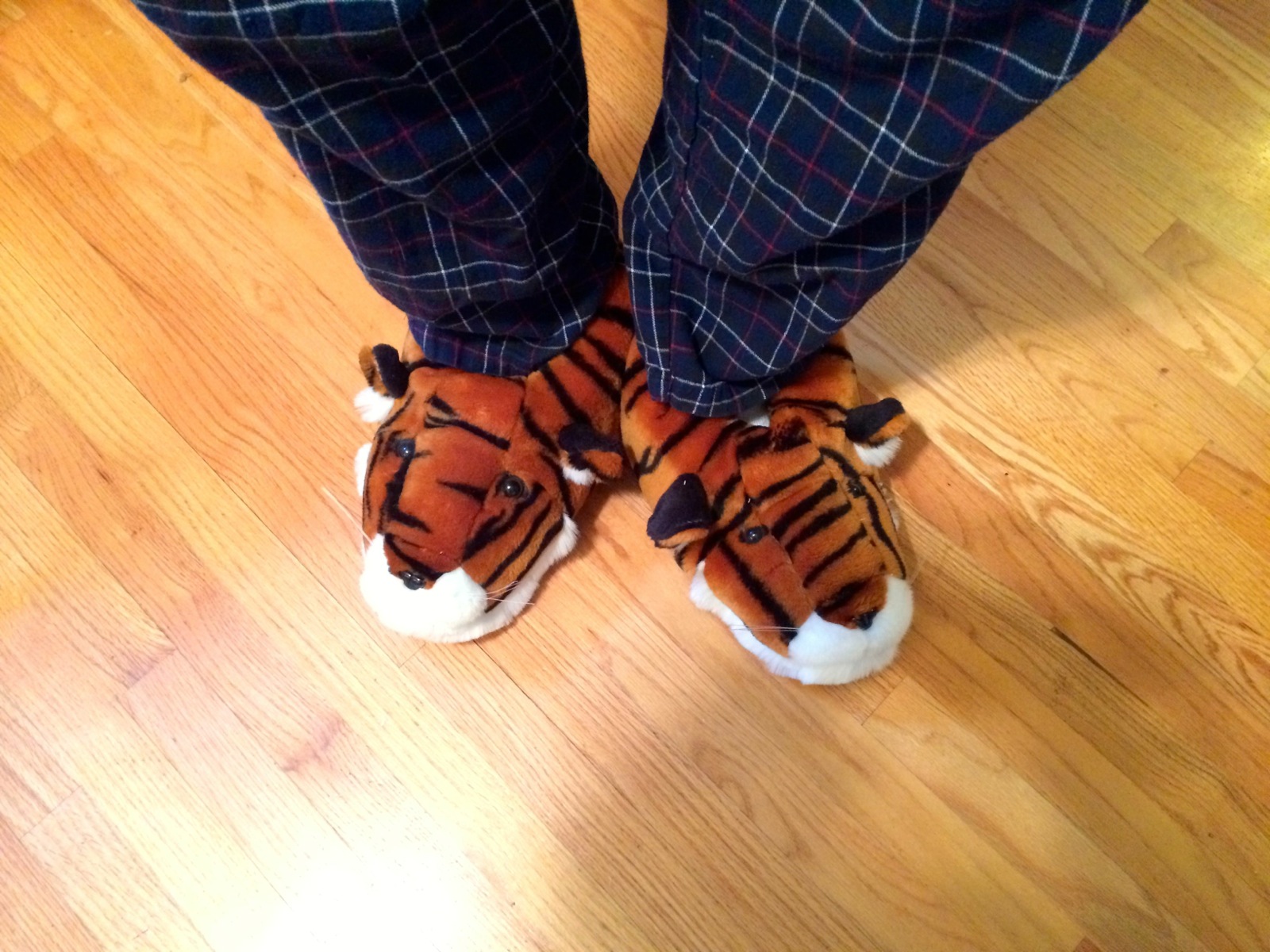 Ready for a day of comfort/