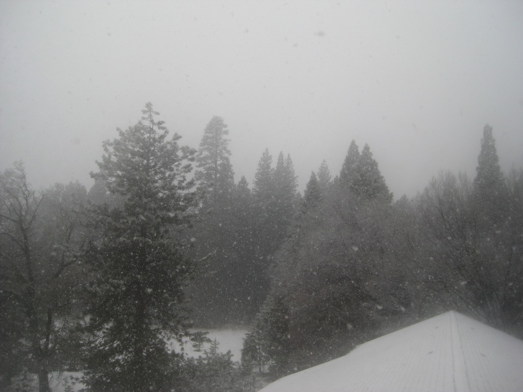 The new view from our room/