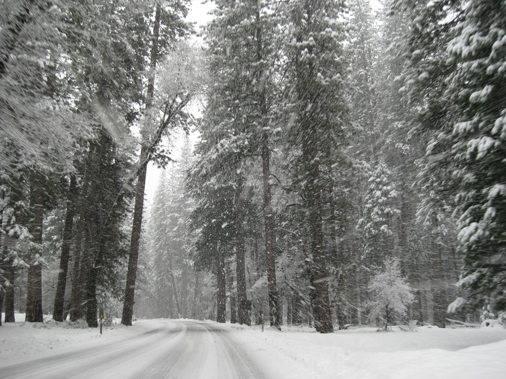 Thank god for chains!/