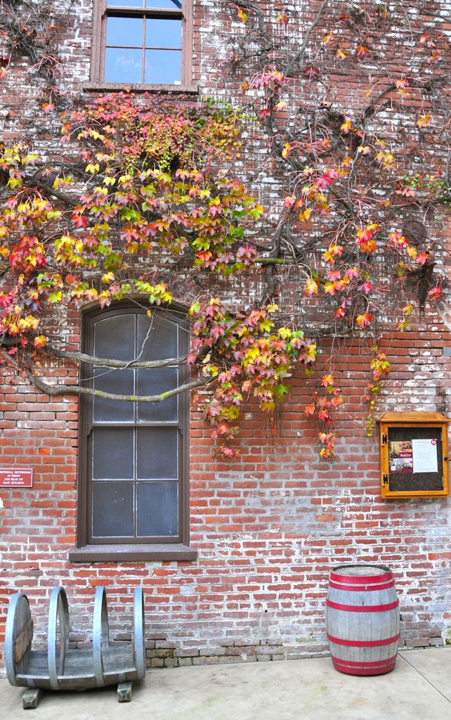 Love the bicycle rack/