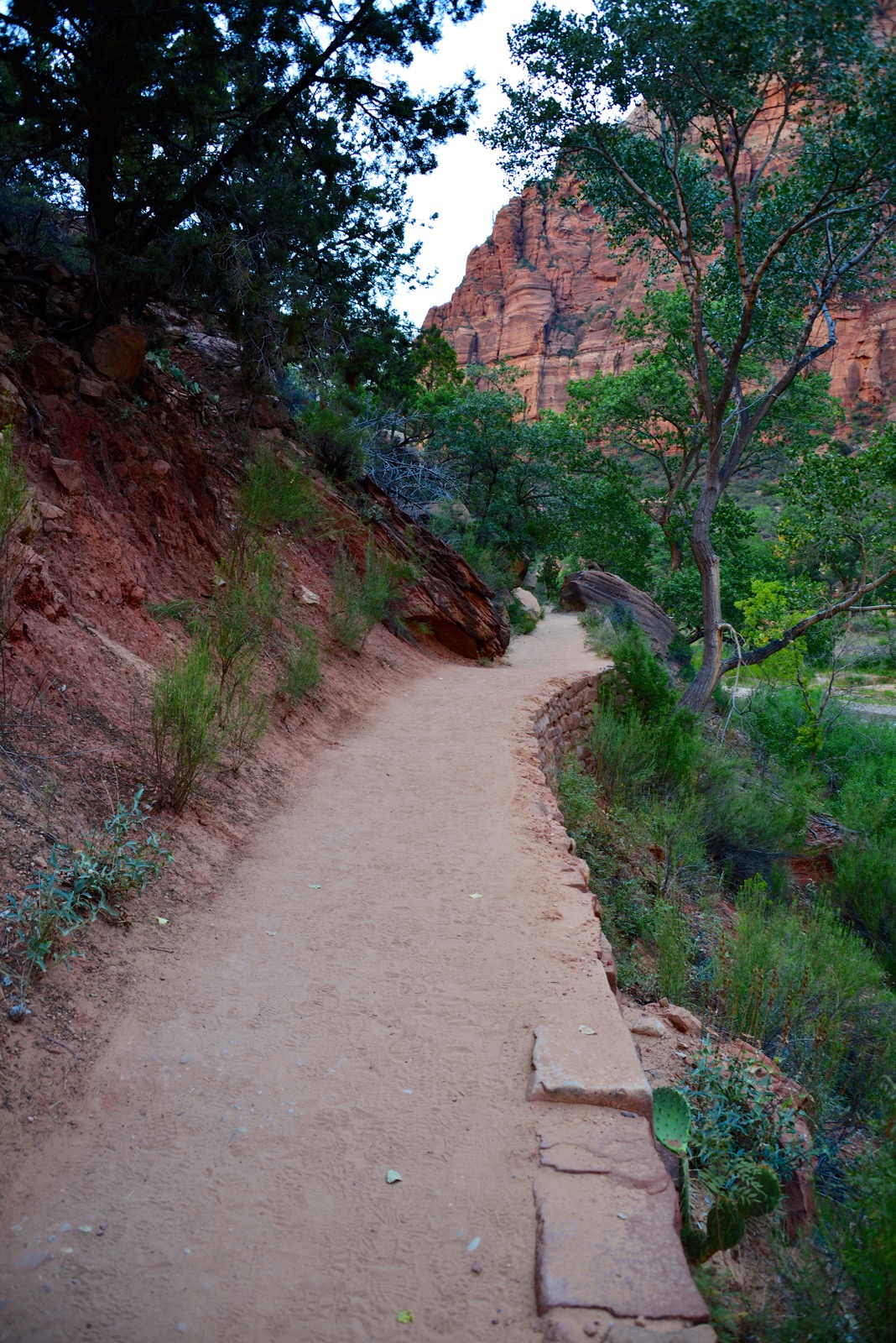 The trail doesn't look bad.../