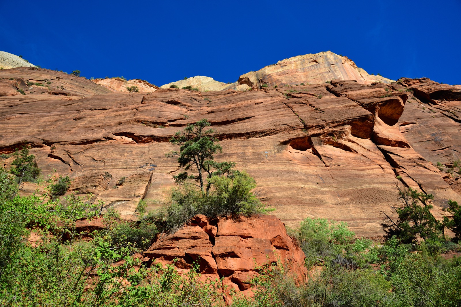 The trail inside the crack /