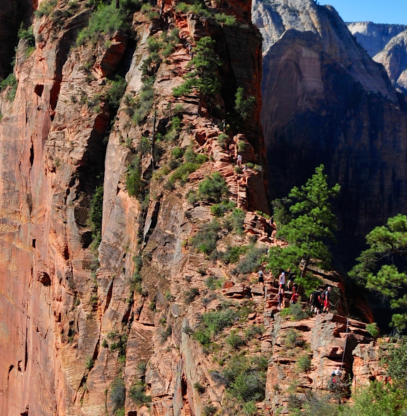 Let's zoom in to give it perspective.../