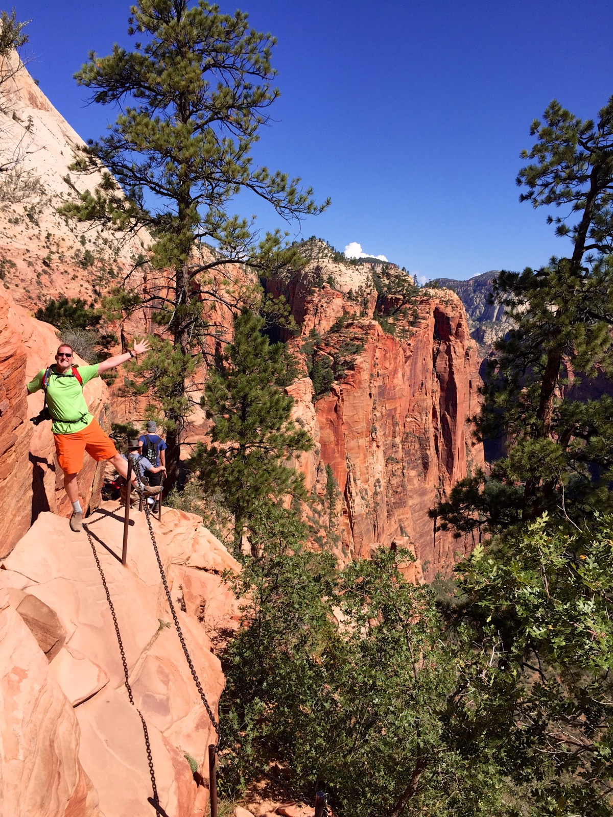 What could go wrong?/